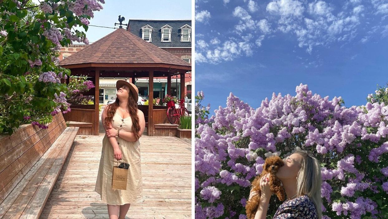 A person in a town by lilacs. Right: A person holding a dog by lilacs.