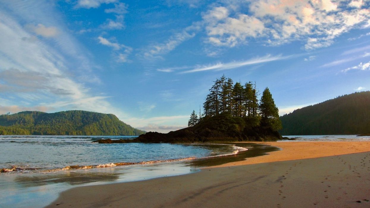A view of San Josef Bay beach in Canada with various trees and mountains illuminated by the sun in the background.