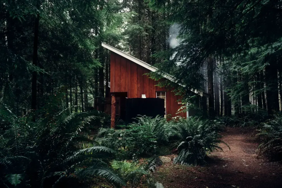 A wooden house nestled in the forest.