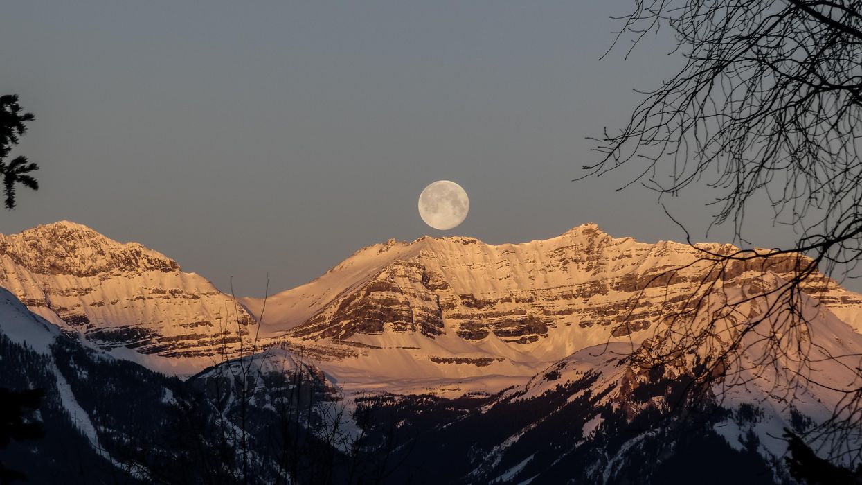 Full Pink Supermoon In 2021 Will Be Visible From Canada