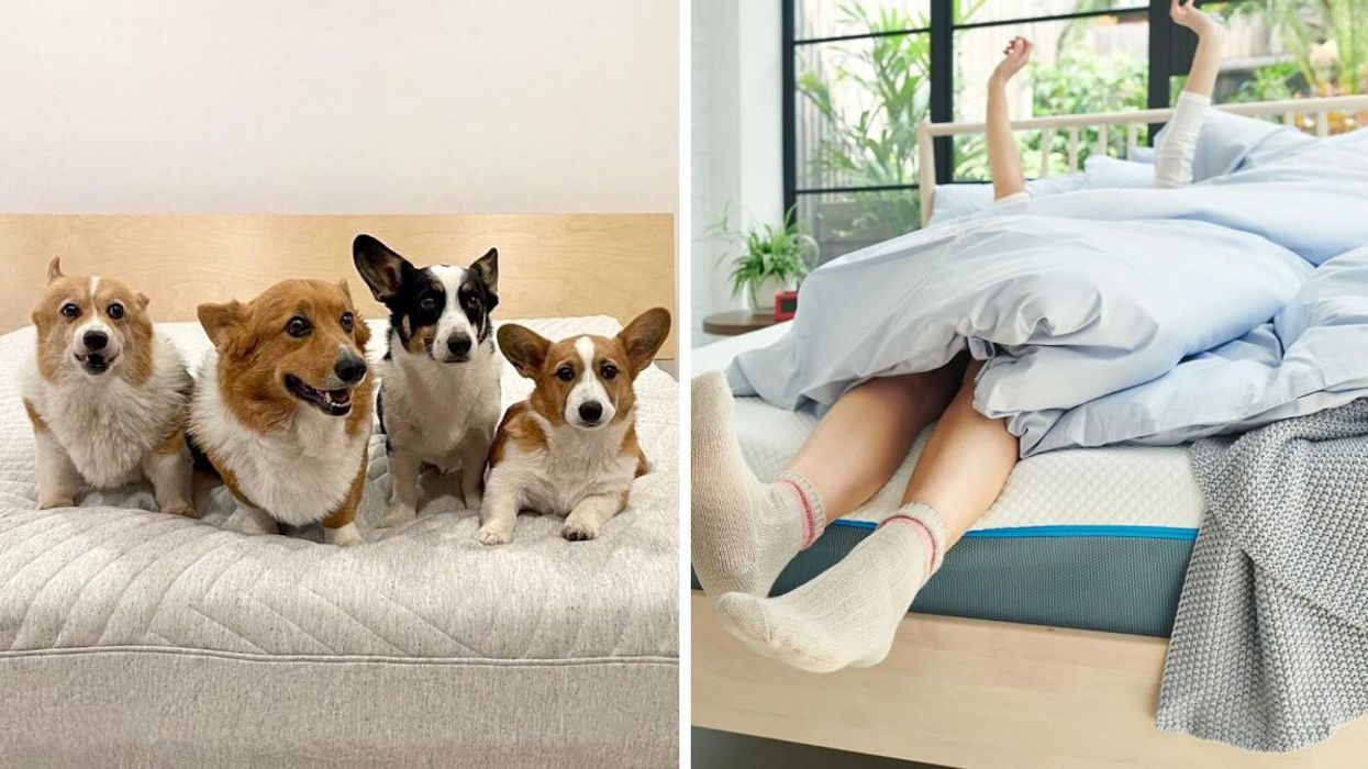 The Best Black Friday Mattress Deals You Can Get In Canada If You're Having Trouble Sleeping